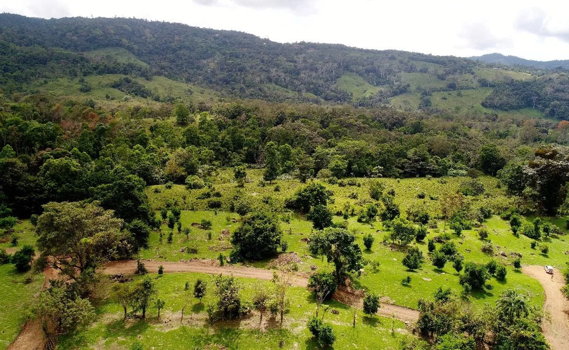 ABSOLUTELY FLAT JUNGLE LOT WITH MOUNTAIN VIEWS – DIAMANTE VALLEY – 2.48 ACRES, photo 4