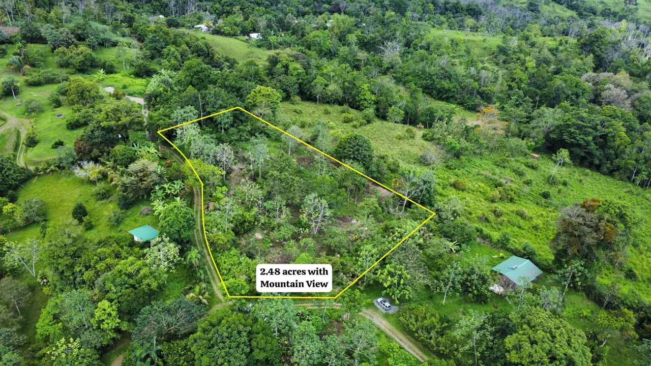 ABSOLUTELY FLAT JUNGLE LOT WITH MOUNTAIN VIEWS – DIAMANTE VALLEY – 2.48 ACRES, photo 5
