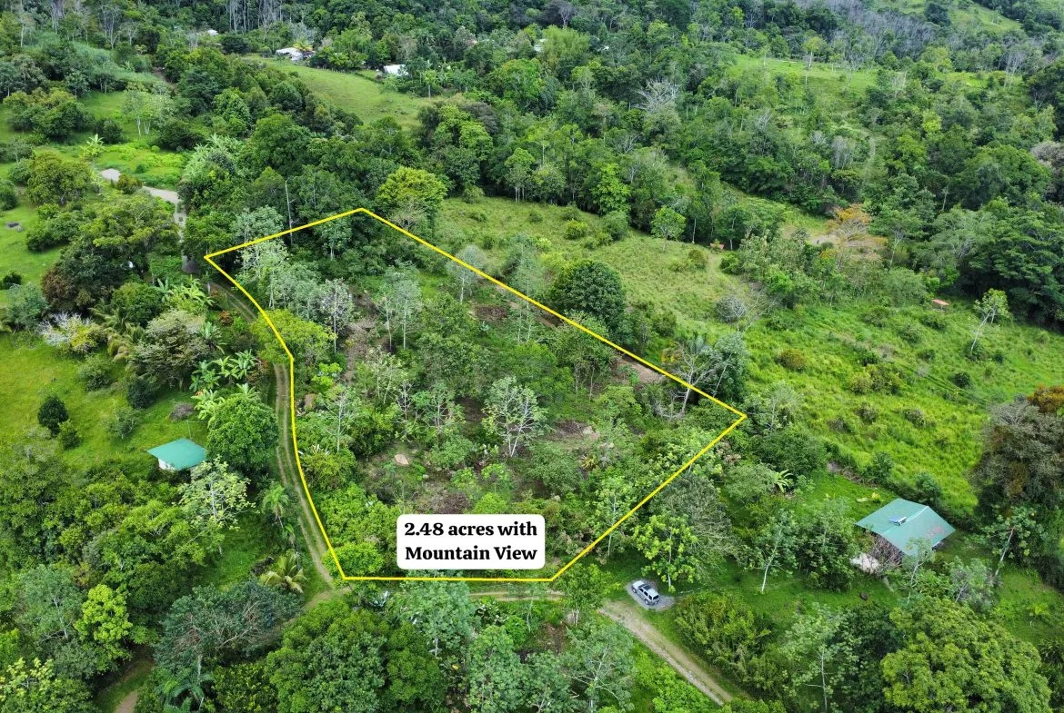 ABSOLUTELY FLAT JUNGLE LOT WITH MOUNTAIN VIEWS – DIAMANTE VALLEY – 2.48 ACRES, photo 6
