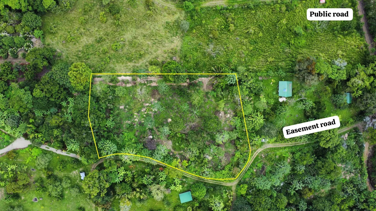 ABSOLUTELY FLAT JUNGLE LOT WITH MOUNTAIN VIEWS – DIAMANTE VALLEY – 2.48 ACRES, photo 7