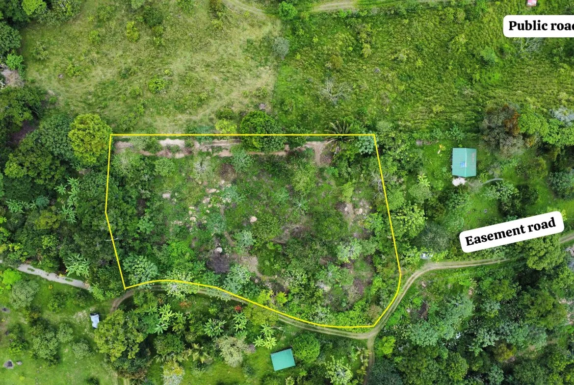 ABSOLUTELY FLAT JUNGLE LOT WITH MOUNTAIN VIEWS – DIAMANTE VALLEY – 2.48 ACRES, photo 8