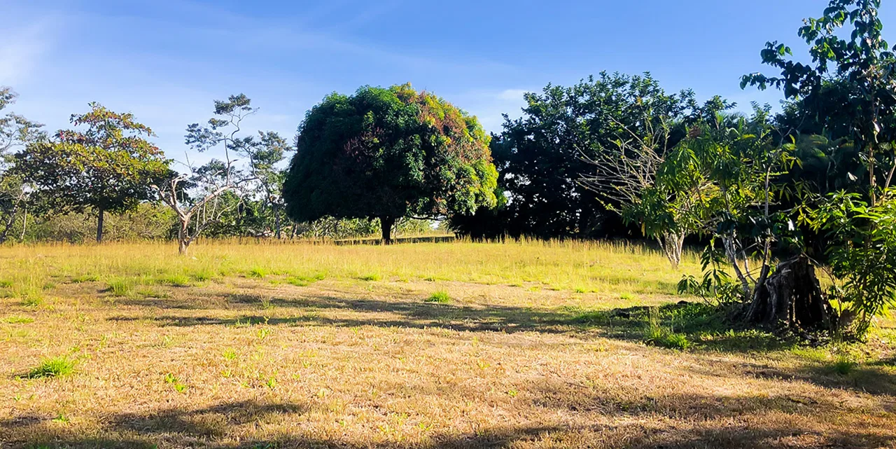 Private Lot at Las Delicias in Montezuma