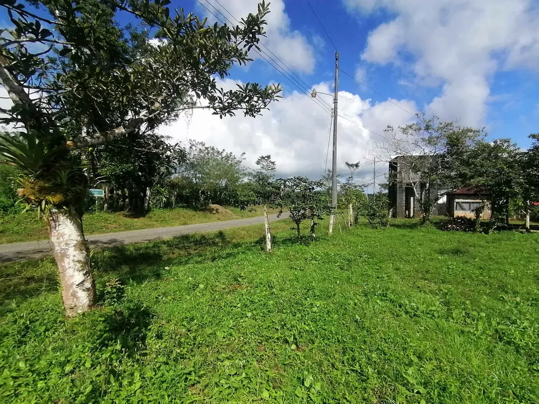 FINCA EN VENTA. 7,8 HECT. PLANA. RIO. DOS RIOS UPALA, photo 11