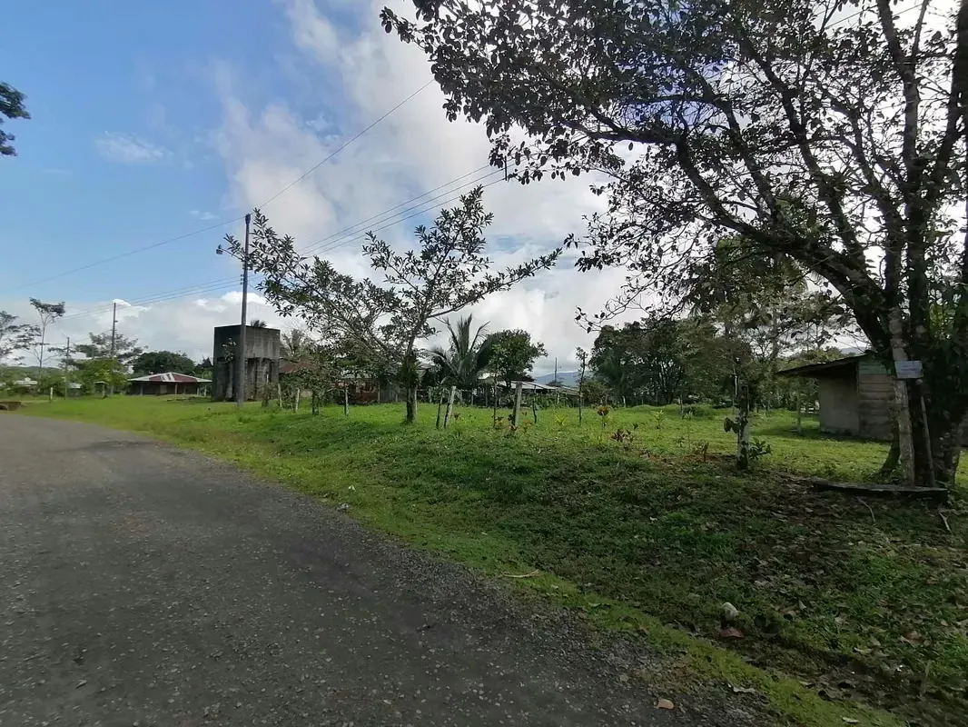 FINCA EN VENTA. 7,8 HECT. PLANA. RIO. DOS RIOS UPALA, photo 3