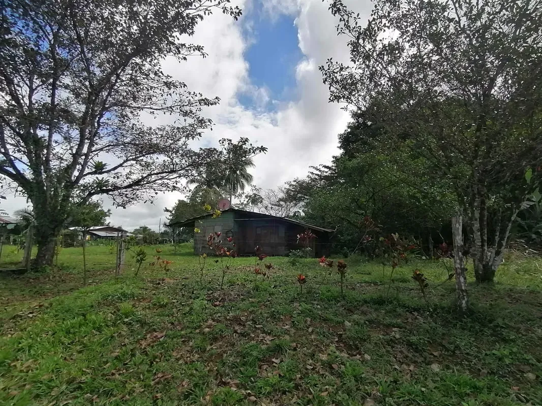 FINCA EN VENTA. 7,8 HECT. PLANA. RIO. DOS RIOS UPALA, photo 4