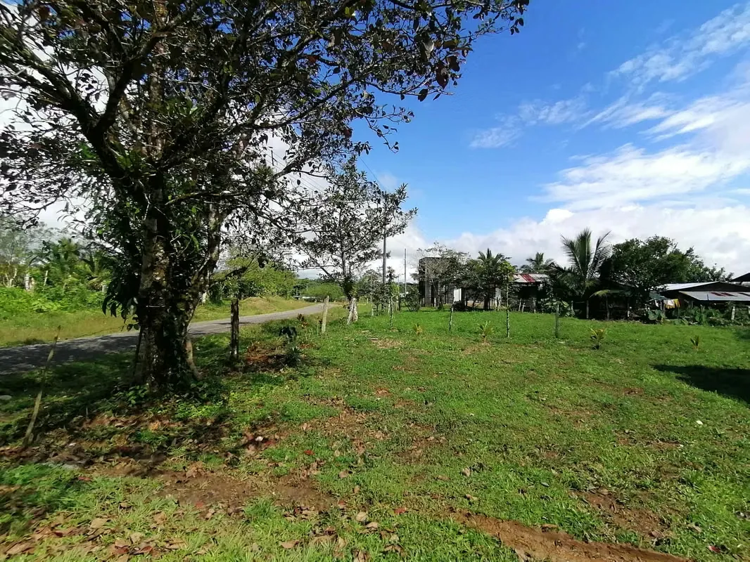 FINCA EN VENTA. 7,8 HECT. PLANA. RIO. DOS RIOS UPALA, photo 5