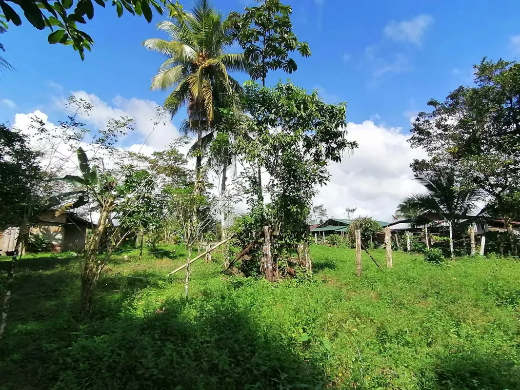FINCA EN VENTA. 7,8 HECT. PLANA. RIO. DOS RIOS UPALA, photo 6