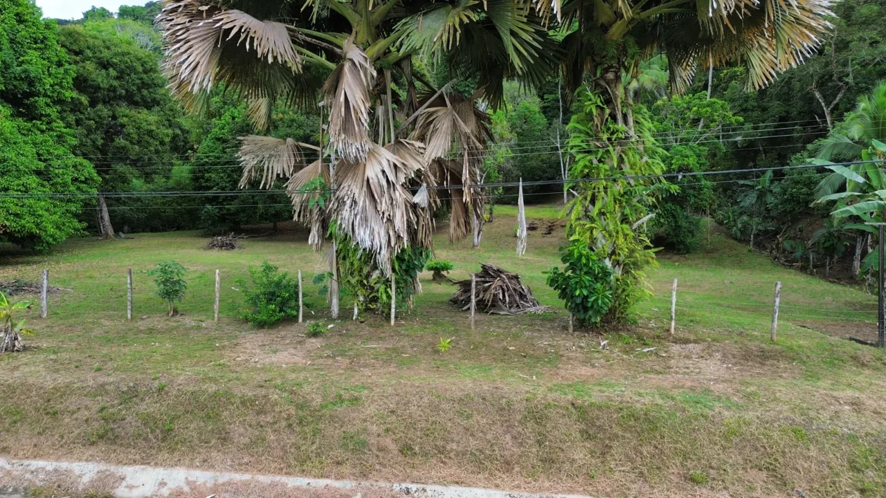 Strategic Investment in Purruja: 45 Acres with Ocean Views