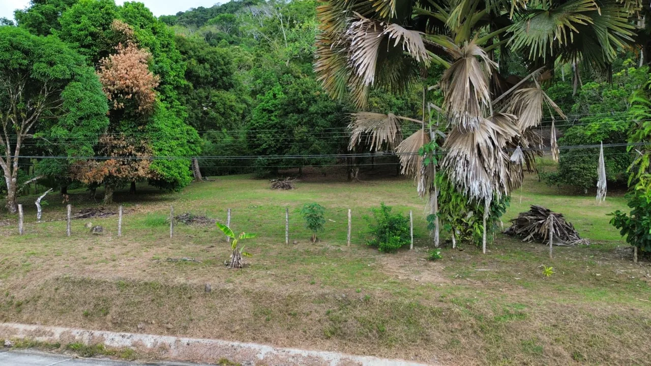 Strategic Investment in Purruja: 45 Acres with Ocean Views, photo 2