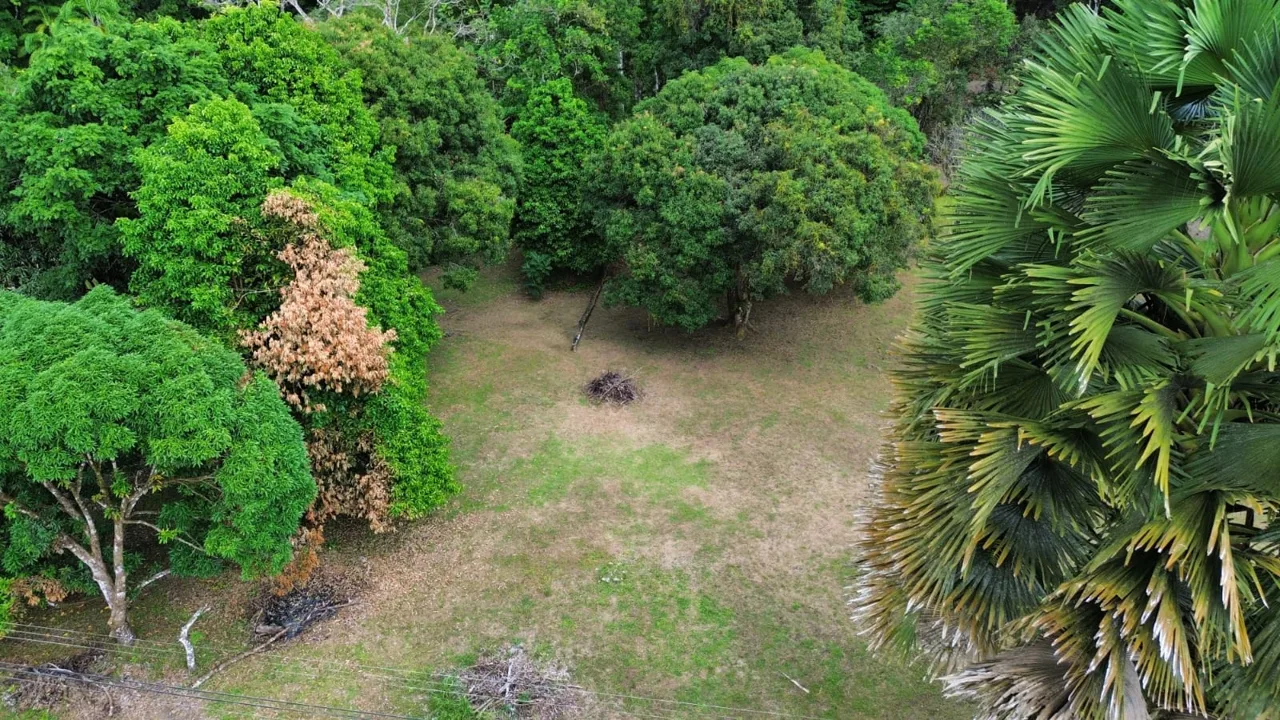 Strategic Investment in Purruja: 45 Acres with Ocean Views, photo 13