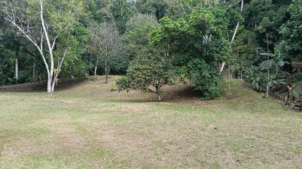 Strategic Investment in Purruja: 45 Acres with Ocean Views, photo 15