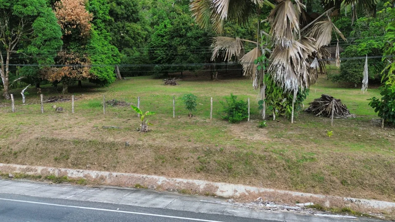 Strategic Investment in Purruja: 45 Acres with Ocean Views, photo 3