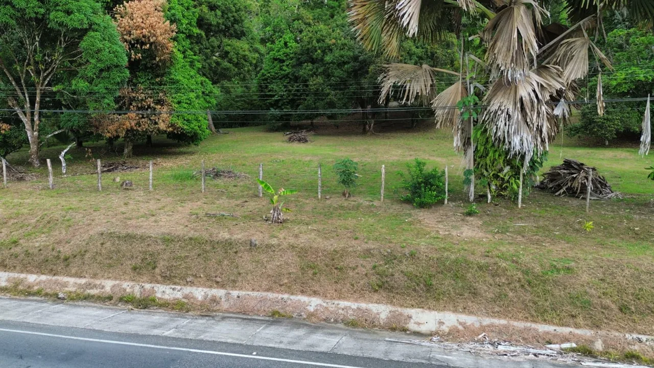 Strategic Investment in Purruja: 45 Acres with Ocean Views, photo 4