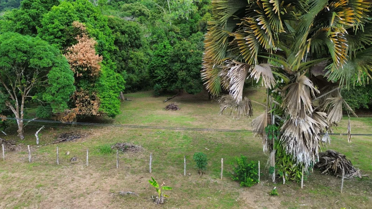 Strategic Investment in Purruja: 45 Acres with Ocean Views, photo 5