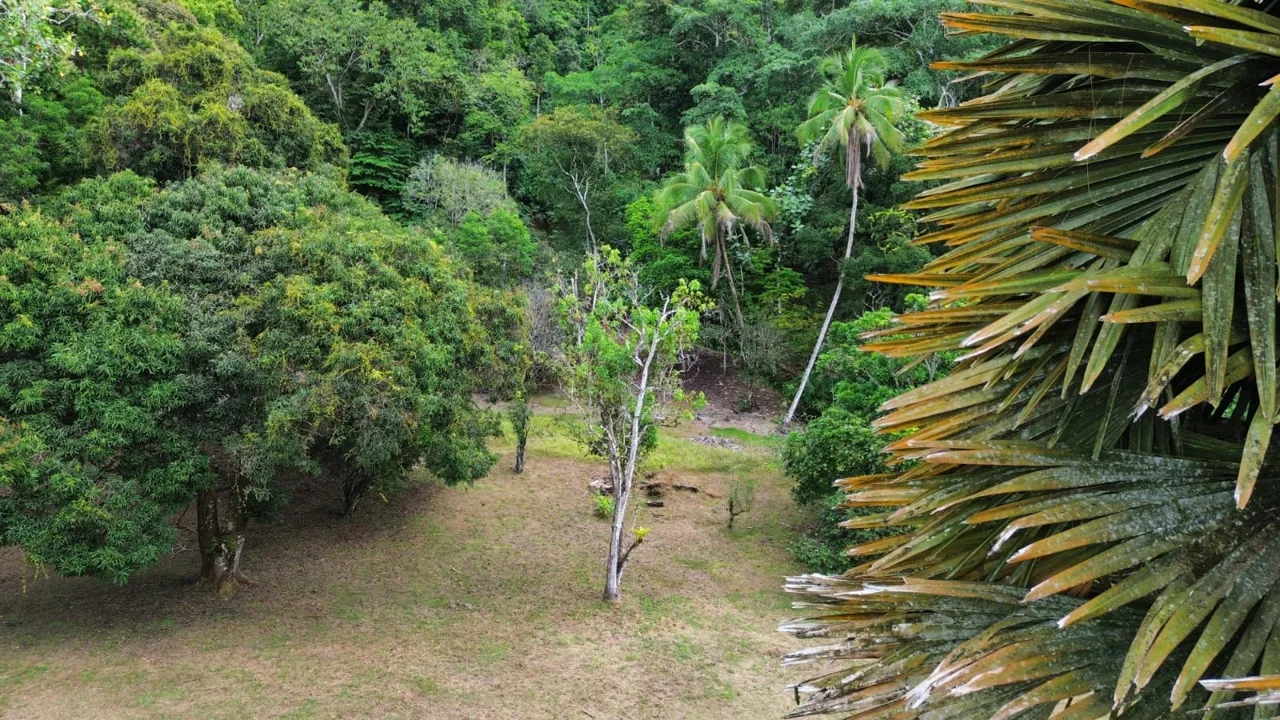 Strategic Investment in Purruja: 45 Acres with Ocean Views, photo 8