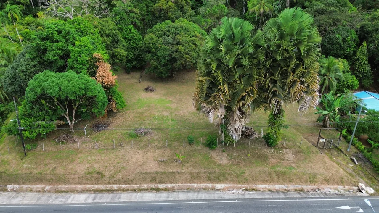 Strategic Investment in Purruja: 45 Acres with Ocean Views, photo 9