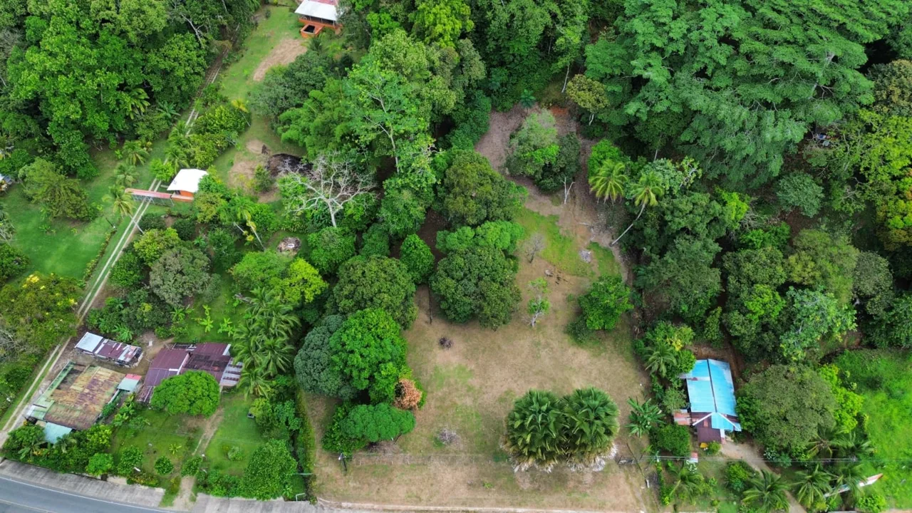 Strategic Investment in Purruja: 45 Acres with Ocean Views, photo 10