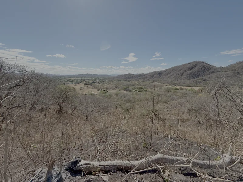 Land For Sale in Portegolpe, photo 2