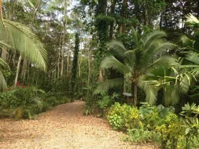 Lotes Titulados en Puerto Vargas — Servicios Listos: Agua Pública y Energía Subterránea, photo 2