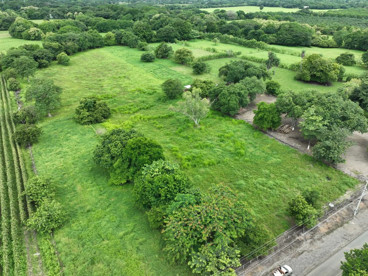 Prime 2.1 Hectare Flat Lot with Road Access in Santa Rita, Nandayure