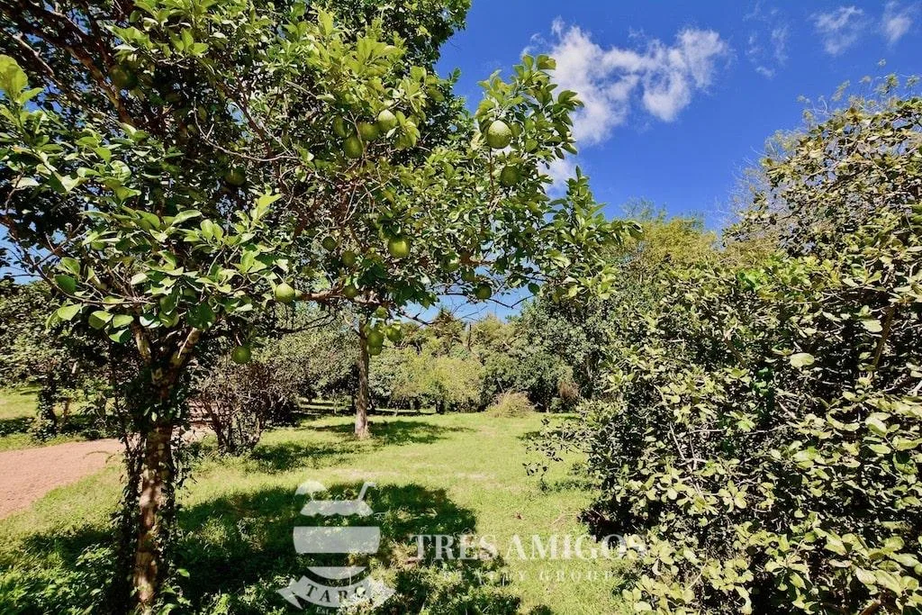 Lomas del Mar Lot 232, photo 18