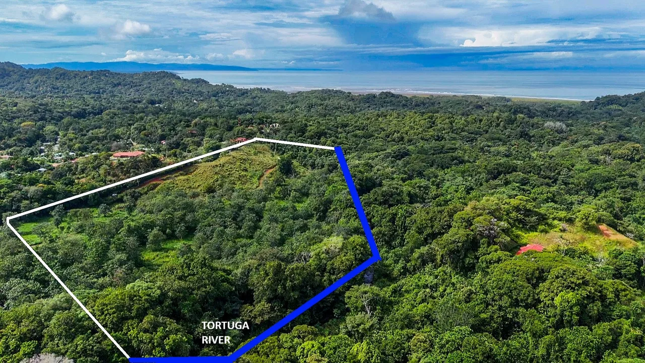 PROPERTY WITH RIVER, FRUIT TREES, AND MOUNTAIN VIEWS, IN OJOCHAL – 22 ACRES, photo 2