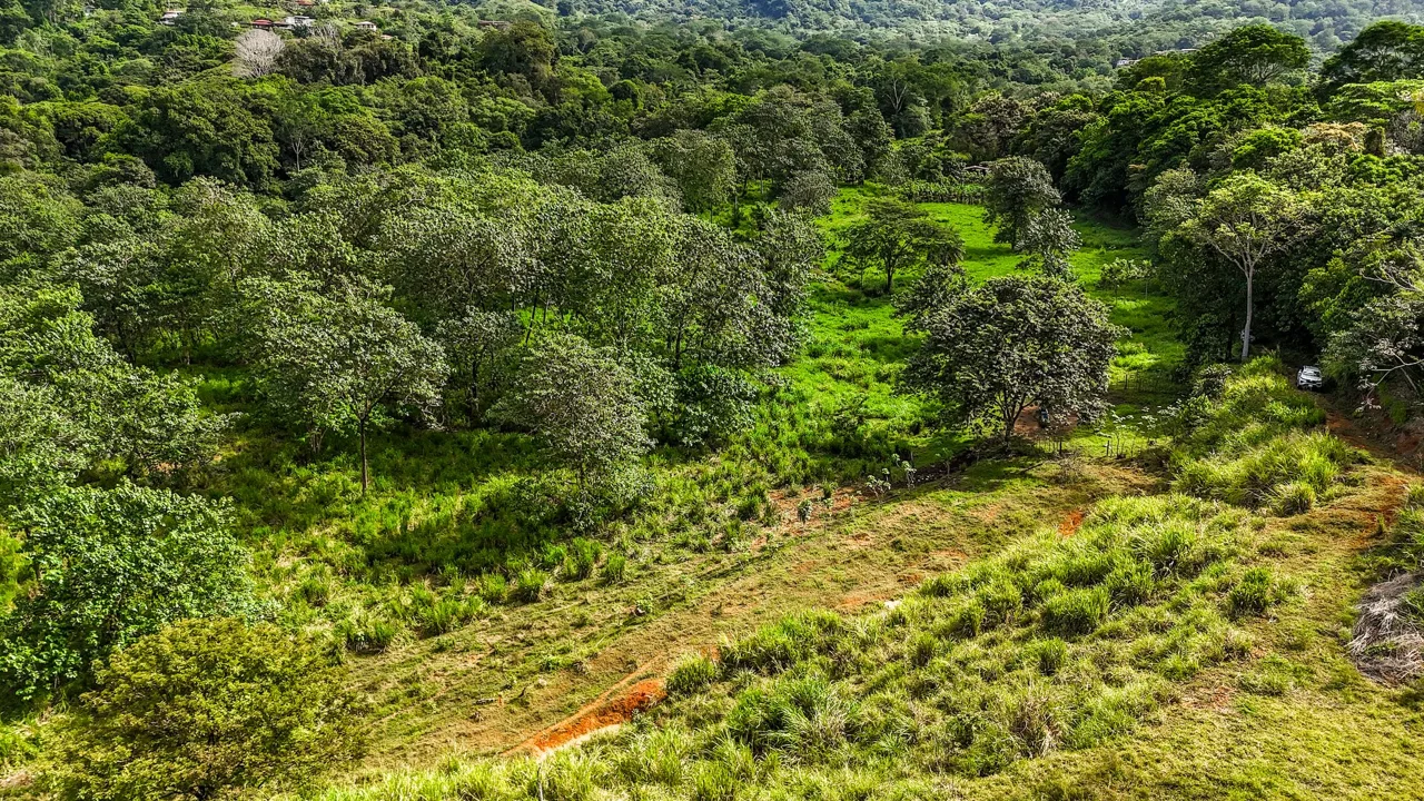 PROPERTY WITH RIVER, FRUIT TREES, AND MOUNTAIN VIEWS, IN OJOCHAL – 22 ACRES, photo 11