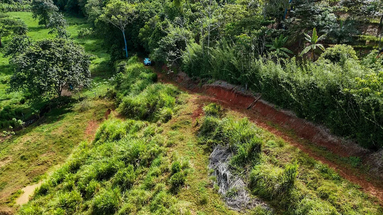 PROPERTY WITH RIVER, FRUIT TREES, AND MOUNTAIN VIEWS, IN OJOCHAL – 22 ACRES, photo 12