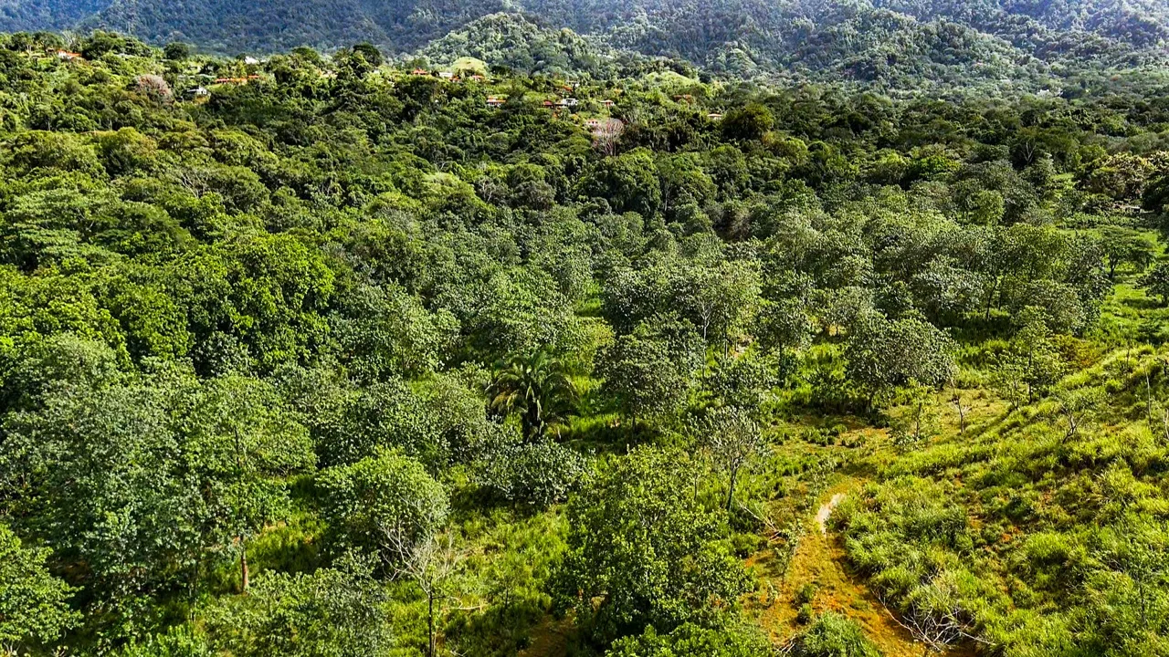 PROPERTY WITH RIVER, FRUIT TREES, AND MOUNTAIN VIEWS, IN OJOCHAL – 22 ACRES, photo 13