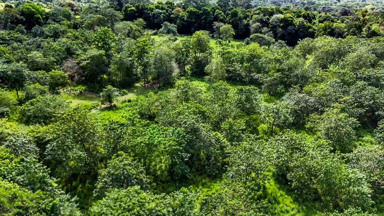 PROPERTY WITH RIVER, FRUIT TREES, AND MOUNTAIN VIEWS, IN OJOCHAL – 22 ACRES, photo 15