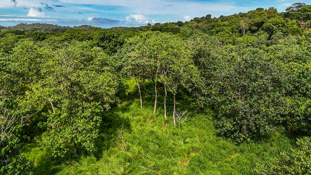 PROPERTY WITH RIVER, FRUIT TREES, AND MOUNTAIN VIEWS, IN OJOCHAL – 22 ACRES, photo 16