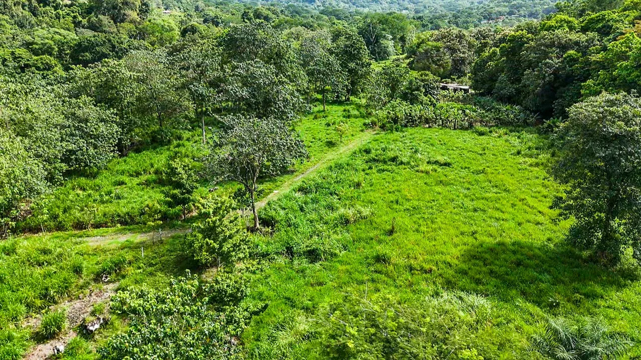 PROPERTY WITH RIVER, FRUIT TREES, AND MOUNTAIN VIEWS, IN OJOCHAL – 22 ACRES, photo 17