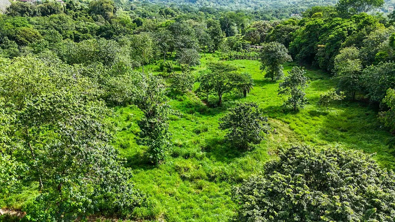PROPERTY WITH RIVER, FRUIT TREES, AND MOUNTAIN VIEWS, IN OJOCHAL – 22 ACRES, photo 18