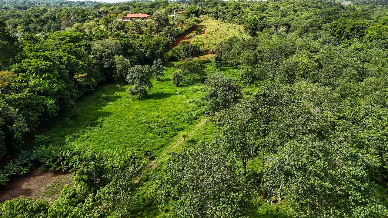 PROPERTY WITH RIVER, FRUIT TREES, AND MOUNTAIN VIEWS, IN OJOCHAL – 22 ACRES, photo 19