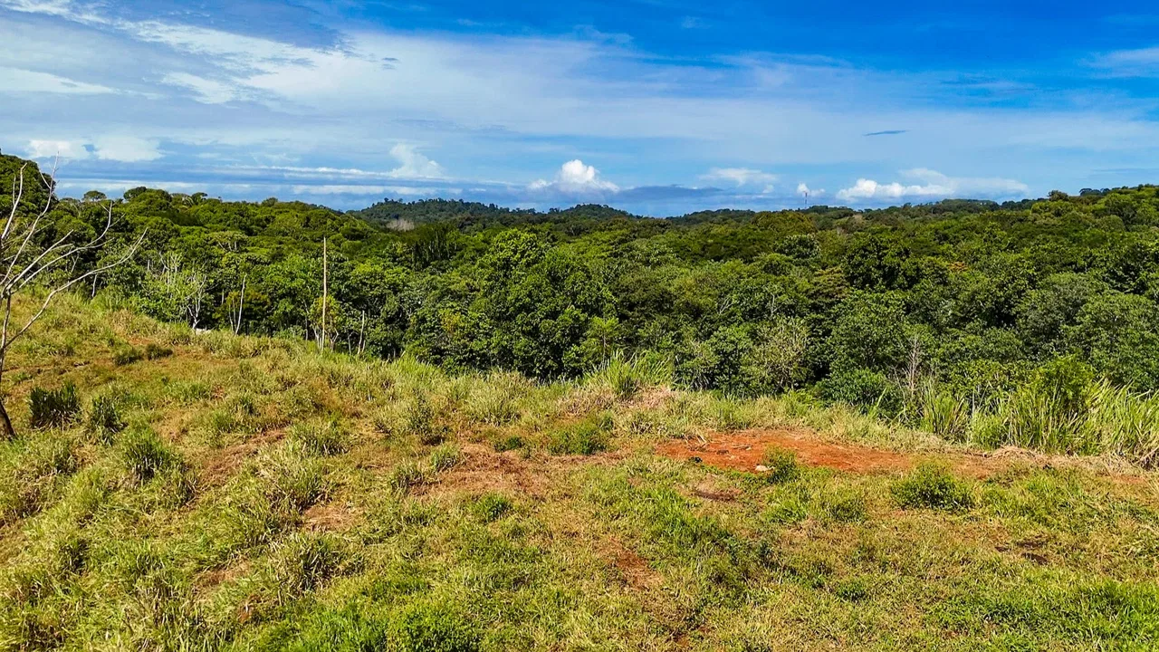 PROPERTY WITH RIVER, FRUIT TREES, AND MOUNTAIN VIEWS, IN OJOCHAL – 22 ACRES, photo 20