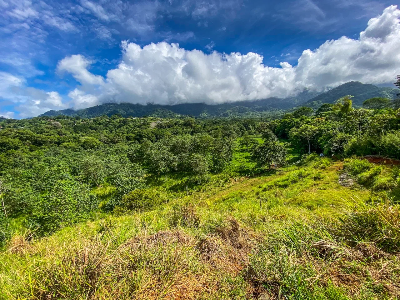 PROPERTY WITH RIVER, FRUIT TREES, AND MOUNTAIN VIEWS, IN OJOCHAL – 22 ACRES, photo 22