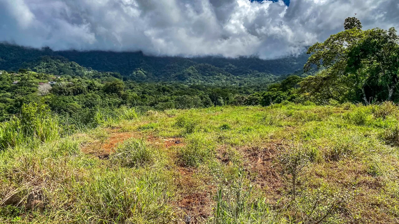 PROPERTY WITH RIVER, FRUIT TREES, AND MOUNTAIN VIEWS, IN OJOCHAL – 22 ACRES, photo 23