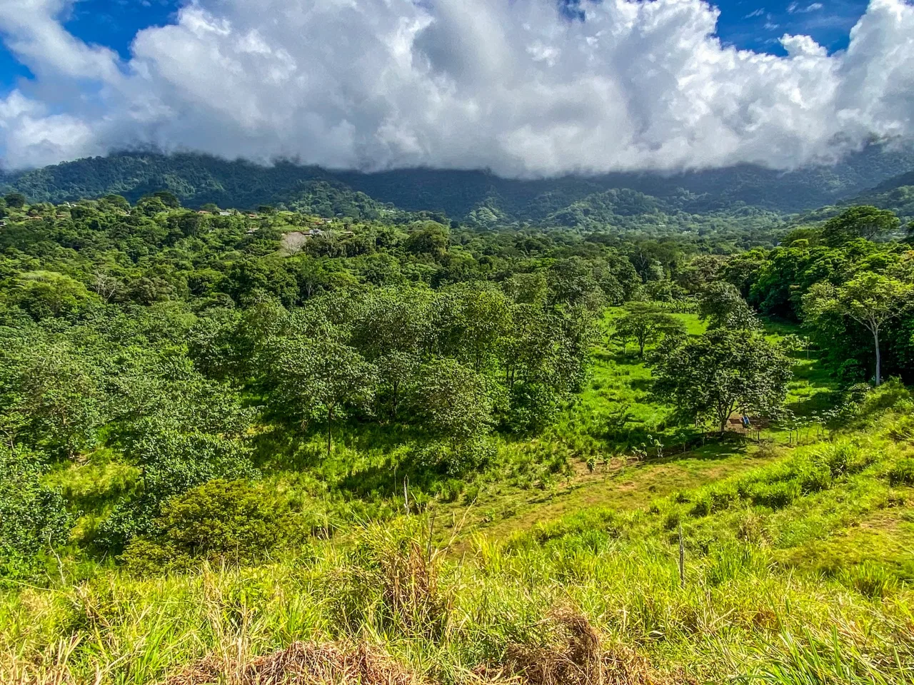 PROPERTY WITH RIVER, FRUIT TREES, AND MOUNTAIN VIEWS, IN OJOCHAL – 22 ACRES, photo 24