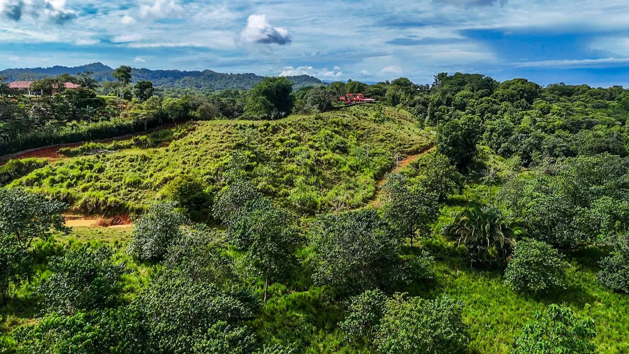 PROPERTY WITH RIVER, FRUIT TREES, AND MOUNTAIN VIEWS, IN OJOCHAL – 22 ACRES, photo 5