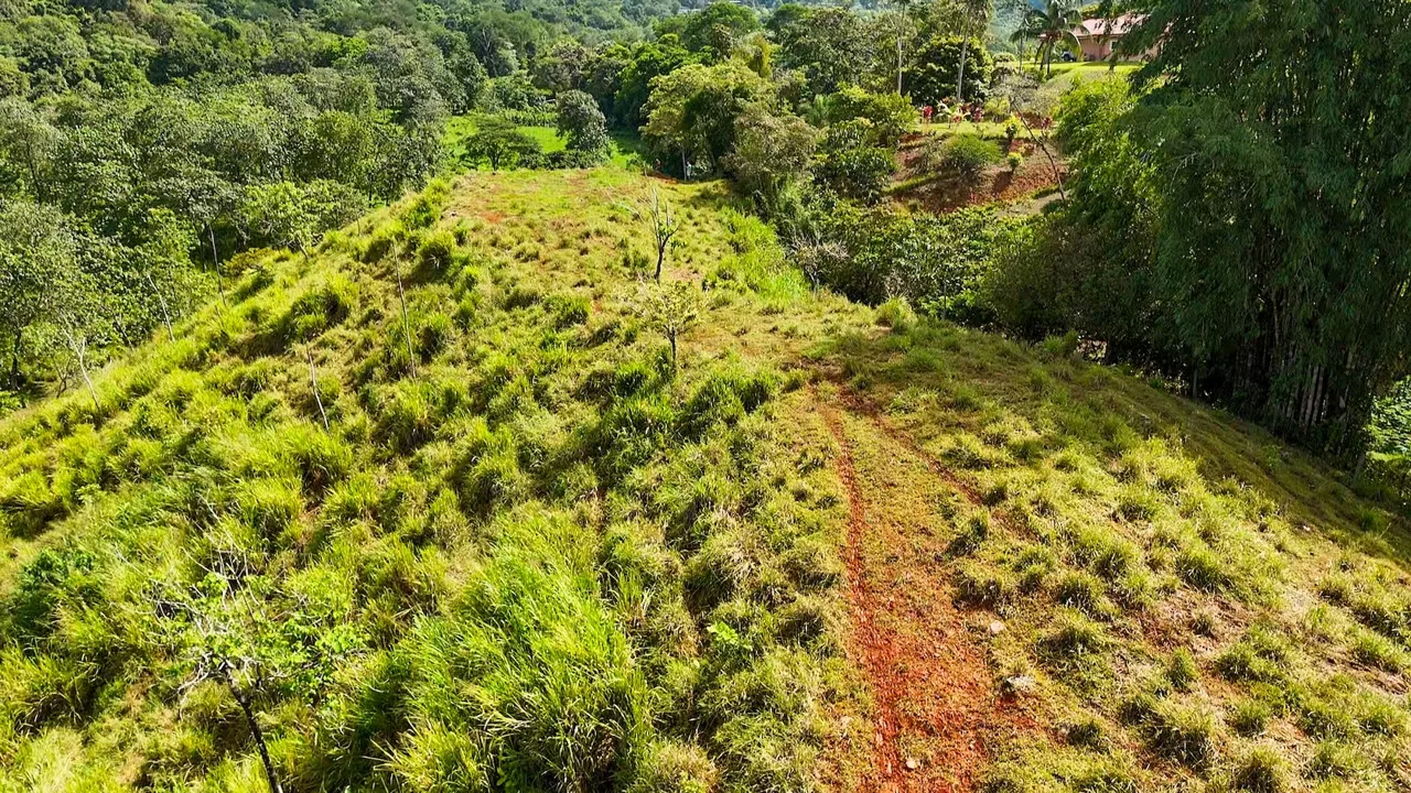 PROPERTY WITH RIVER, FRUIT TREES, AND MOUNTAIN VIEWS, IN OJOCHAL – 22 ACRES, photo 6