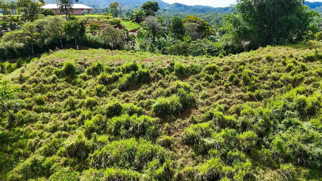PROPERTY WITH RIVER, FRUIT TREES, AND MOUNTAIN VIEWS, IN OJOCHAL – 22 ACRES, photo 7