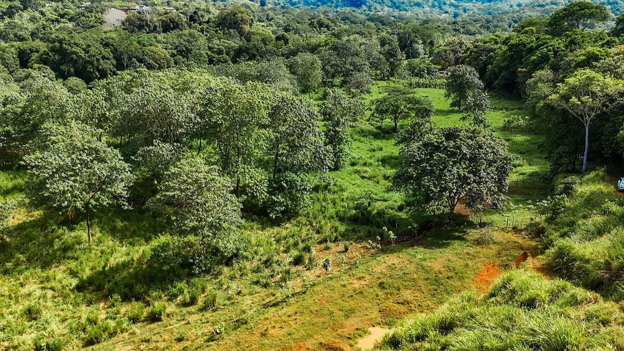 PROPERTY WITH RIVER, FRUIT TREES, AND MOUNTAIN VIEWS, IN OJOCHAL – 22 ACRES, photo 9
