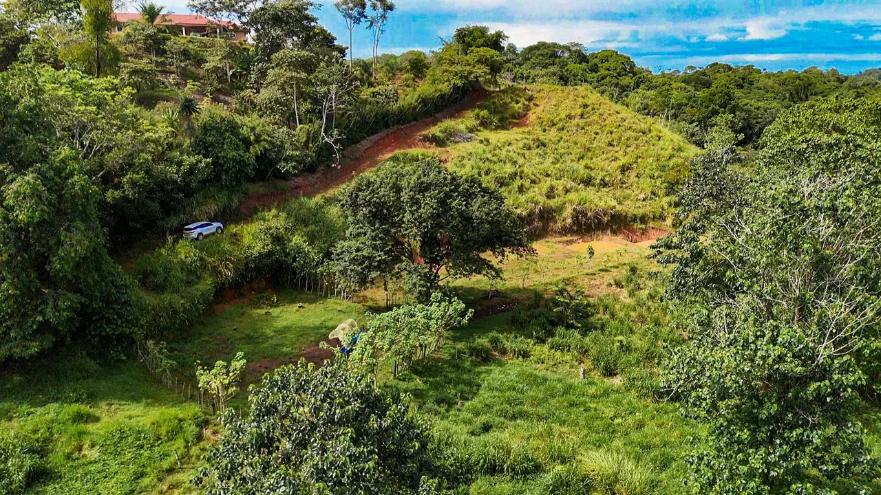 PROPERTY WITH RIVER, FRUIT TREES, AND MOUNTAIN VIEWS, IN OJOCHAL – 22 ACRES, photo 10