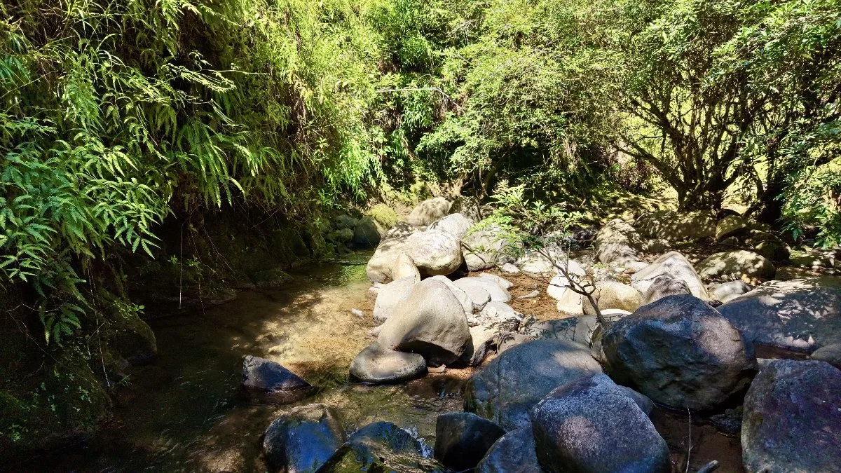VENTA DE REFUGIO NATURAL DE 3.2 HA EN LAS FALDAS DEL CHIRRIPO, MIRAFLORES, PEREZ ZELEDON - Venta en Pérez Zeledón, photo 2