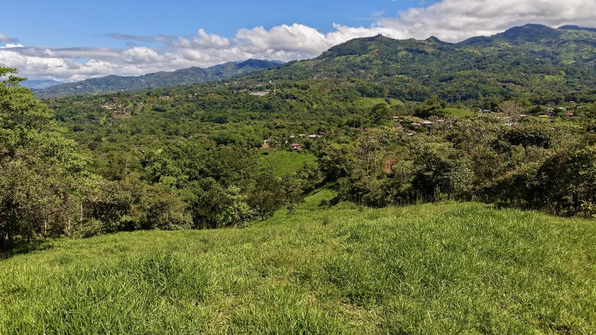VENTA DE REFUGIO NATURAL DE 3.2 HA EN LAS FALDAS DEL CHIRRIPO, MIRAFLORES, PEREZ ZELEDON - Venta en Pérez Zeledón, photo 6