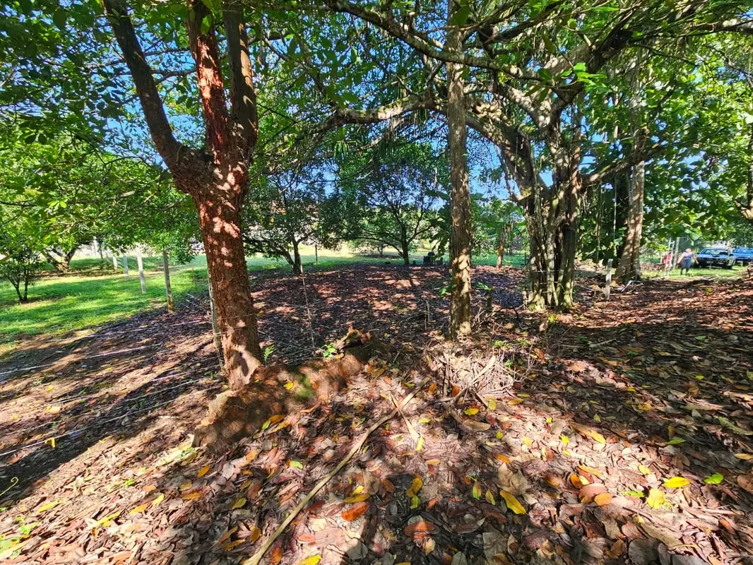 Lote en Venta en Quebrada Ganado, Garabito, Puntarenas – Uso Mixto Cerca de Playa Blanca y Playa Mantas