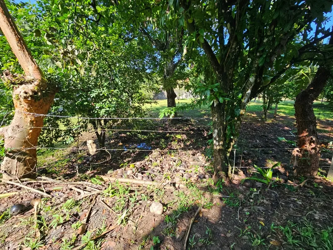 Lote en Venta en Quebrada Ganado, Garabito, Puntarenas – Uso Mixto Cerca de Playa Blanca y Playa Mantas, photo 3