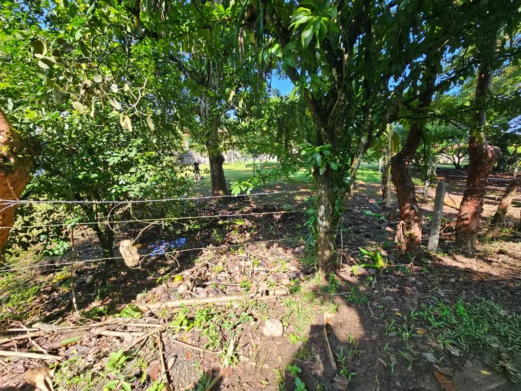 Lote en Venta en Quebrada Ganado, Garabito, Puntarenas – Uso Mixto Cerca de Playa Blanca y Playa Mantas, photo 4