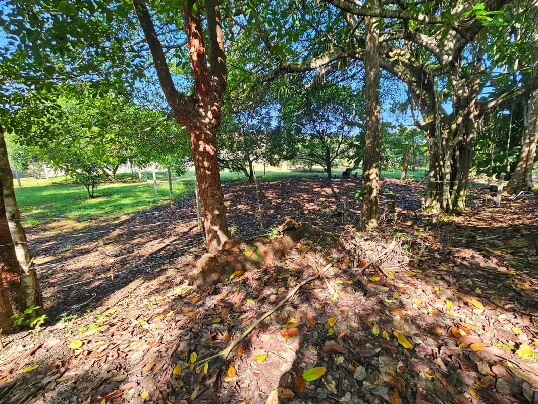 Lote en Venta en Quebrada Ganado, Garabito, Puntarenas – Uso Mixto Cerca de Playa Blanca y Playa Mantas, photo 5