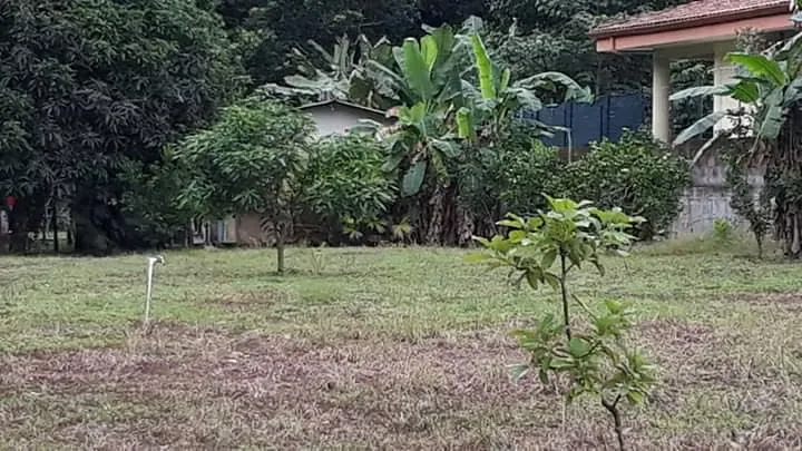 Lote en Venta en Quebrada Ganado, Garabito, Puntarenas – Uso Mixto Cerca de Playa Blanca y Playa Mantas, photo 6